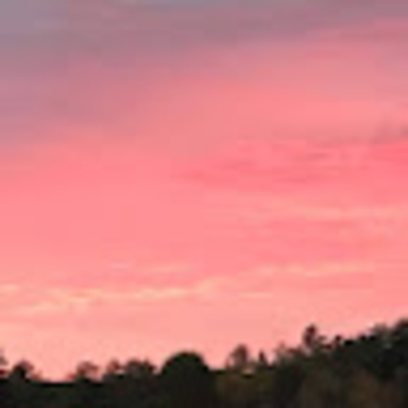 Meet your Posher, John michael - Picture 1 of 1